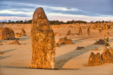 Pinnacles in the desert of Nambung National Park, Western Australia, Australia