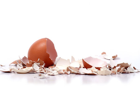 close up of a broken eggshells