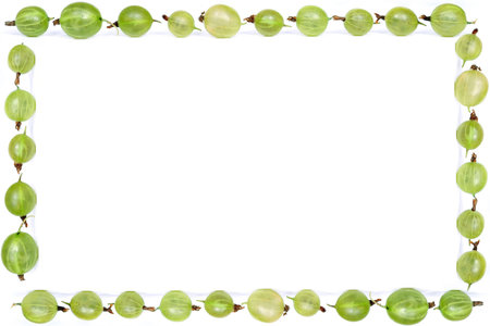 fruit frame - gooseberriesの写真素材