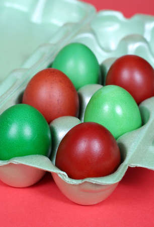 colorful easter eggs in cartonの写真素材