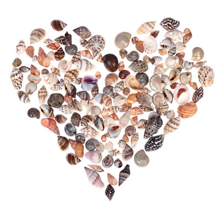 a heart made of sea shells