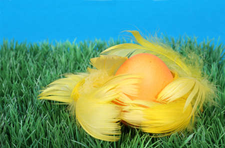 yellow Easter Egg in feather on green grassの写真素材