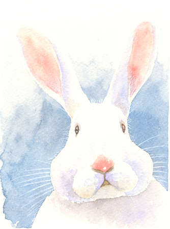 watercolor painting illustration puzzled bunny adorable rabbitの写真素材