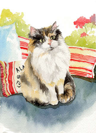 watercolor painting illustration cat kitty kitten adorableの写真素材