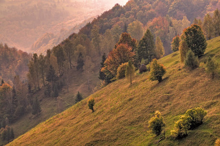 the fallの写真素材