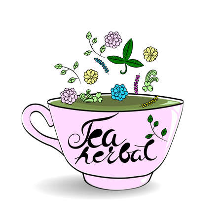 Cup of tea and hand drawn lettering "herbal tea" on white backdrop.のイラスト素材