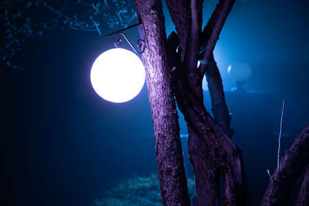 Foggy night yard with bright light on background. lantern hanging on the tree. winter time.の写真素材
