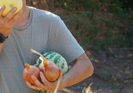 A person holding a small watermelon and some fresh onionsの素材