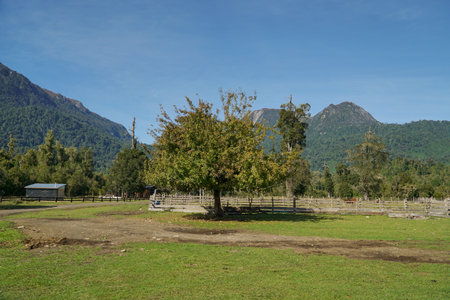Landscape in the south of Chileの写真素材