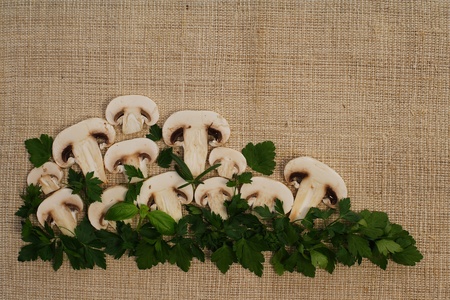 Fresh champignon mushrooms on burlapの写真素材