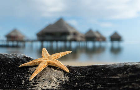 A starfish put on a rock in front of houses on piles on an islandの写真素材