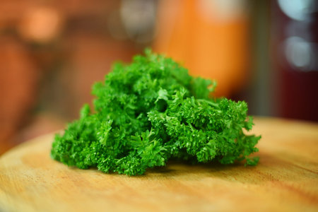 Fresh parsleyの写真素材