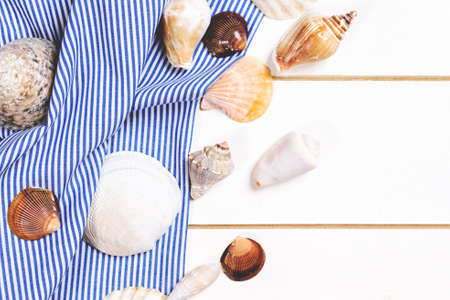 Summer background. Seashellsの写真素材