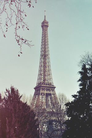 Eiffel tower in Parisの写真素材