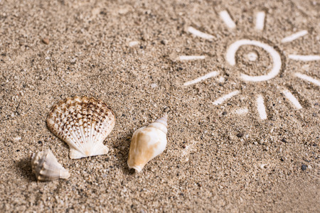 Simple sun drawing in the sand and seashellsの写真素材