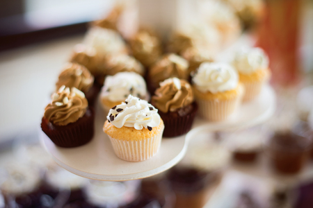 Chocolate Cupcakesの写真素材