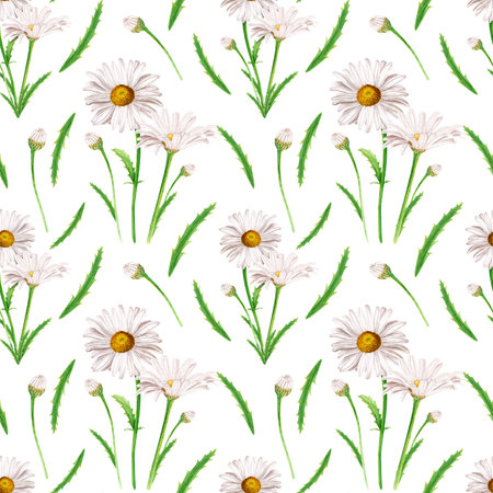 Watercolor daisy flower seamless pattern, hand drawn illustration isolated on whiteの写真素材