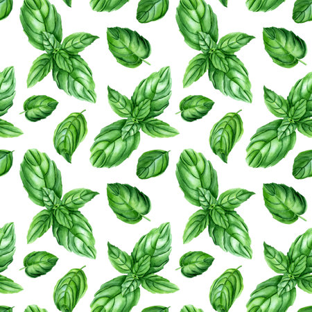 Watercolor seamless pattern with basil herb. Botanical illustration isolated on white for wrapping, wallpaper, fabricの写真素材
