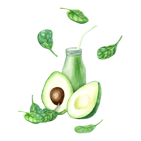 Green smoothie with spinach and avocado fruit in glass jar. Watercolor illustration isolated on white. For clipart menuの写真素材