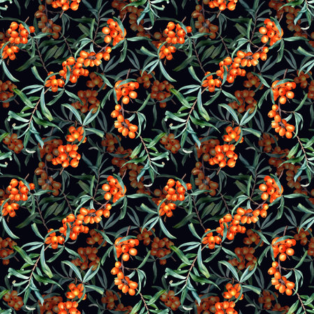 Seamless pattern with medicinal plant sea buckthorn branches. Hand drawn watercolor botanical illustrationの写真素材