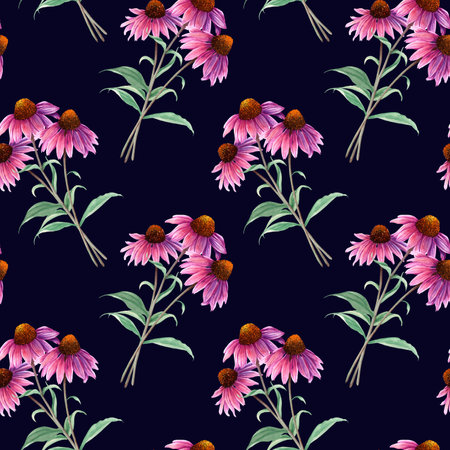 Watercolor repeat seamless pattern with herb flower Coneflower, Echinacea. Hand drawn illustration for fabric textileの写真素材