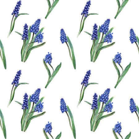 Seamless, repeat pattern with blue grape hyacinth, muscari flowers. Hand drawn watercolor illustration. For wrapping wallpaper fabric textileの写真素材