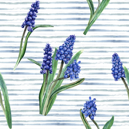 Hand drawn watercolor seamless pattern with blue grape hyacinth, muscari flowers on horizontal brush strokes background. For wrapping wallpaper fabric textileの写真素材