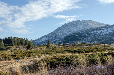 Daytime scenery of Vitosha mountain, Bulgariaの写真素材