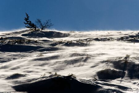 Blowing wind in snowy mountainの写真素材