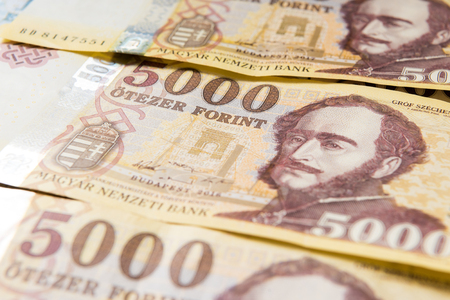 Financial background of Hungarian money - forints currencyの写真素材