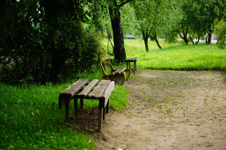 bench