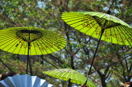parasolsの写真素材