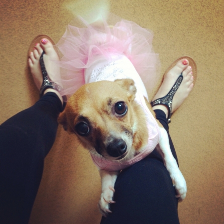 My little princess Millie の素材