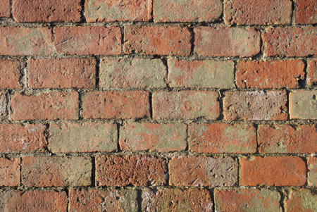 bricks