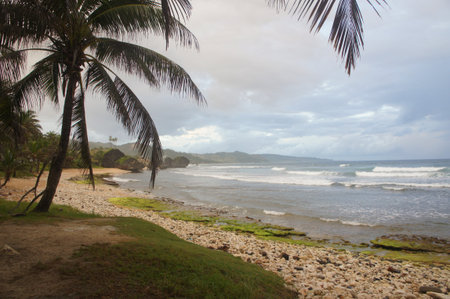 bathshebaの写真素材