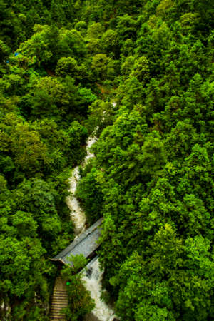 A small waterfall runs through a heavily forested mountain in Suichang, Chinaの写真素材