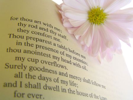 A well known psalm on a page in the Christian Bible. A light pink daisy is in the upper right corner. の写真素材