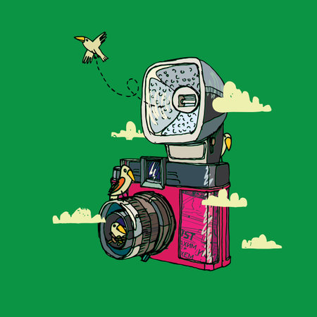 Vector illustration of an retro camera, bird and clouds.のイラスト素材