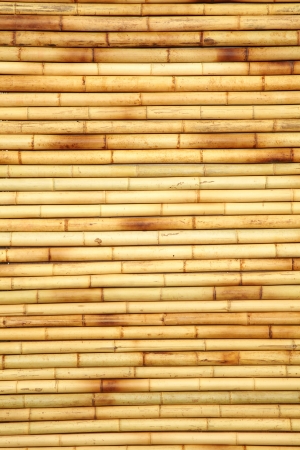bamboo fence textureの写真素材