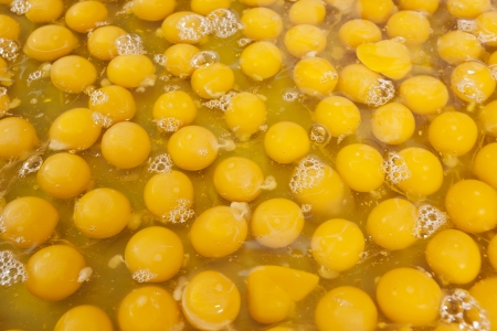 egg yolkの写真素材