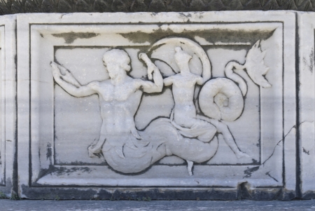 didimの写真素材