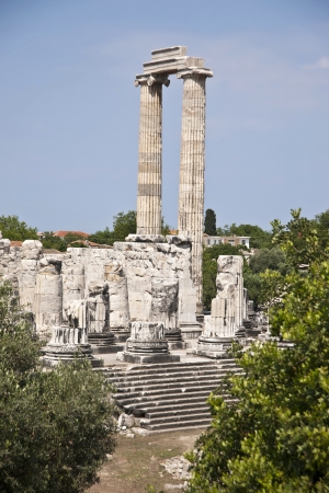 apollon templeの写真素材
