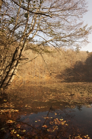 YedigÃ¶ller ( Seven Lakes) National Park , Bolu , Turkeyの写真素材