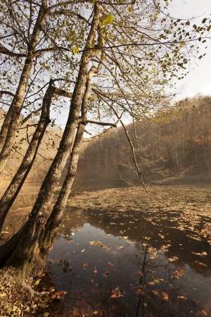 YedigÃ¶ller ( Seven Lakes) National Park , Bolu , Turkeyの写真素材