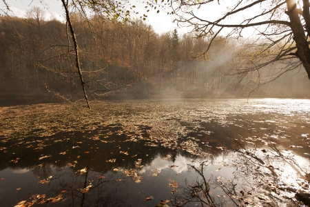 YedigÃ¶ller ( Seven Lakes) National Park , Bolu , Turkeyの写真素材