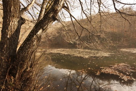 YedigÃ¶ller ( Seven Lakes) National Park , Bolu , Turkeyの写真素材