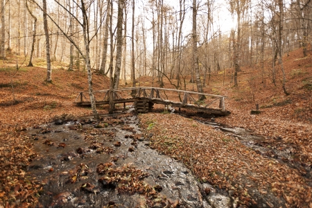 YedigÃ¶ller ( Seven Lakes) National Park , Bolu , Turkeyの写真素材