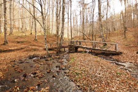YedigÃ¶ller ( Seven Lakes) National Park , Bolu , Turkeyの写真素材