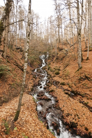 YedigÃ¶ller ( Seven Lakes) National Park , Bolu , Turkeyの写真素材