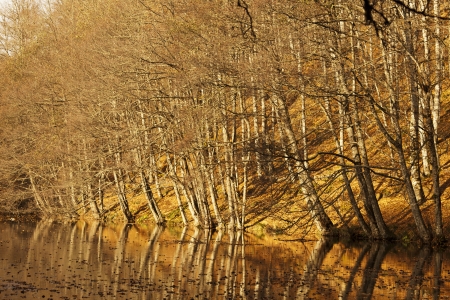 YedigÃ¶ller ( Seven Lakes) National Park , Bolu , Turkeyの写真素材